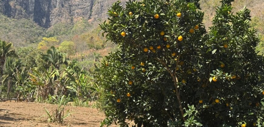 Maravilhosa Chácara – 11 Hectares – Casa de 320m² – Vista Deslumbrante – Nascente  Alto Paraíso – GO 