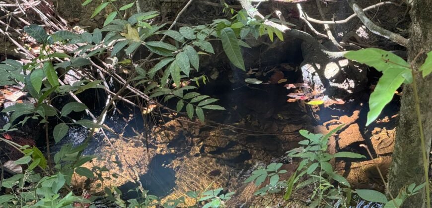 Maravilhosa Chácara – 11 Hectares – Casa de 320m² – Vista Deslumbrante – Nascente  Alto Paraíso – GO 