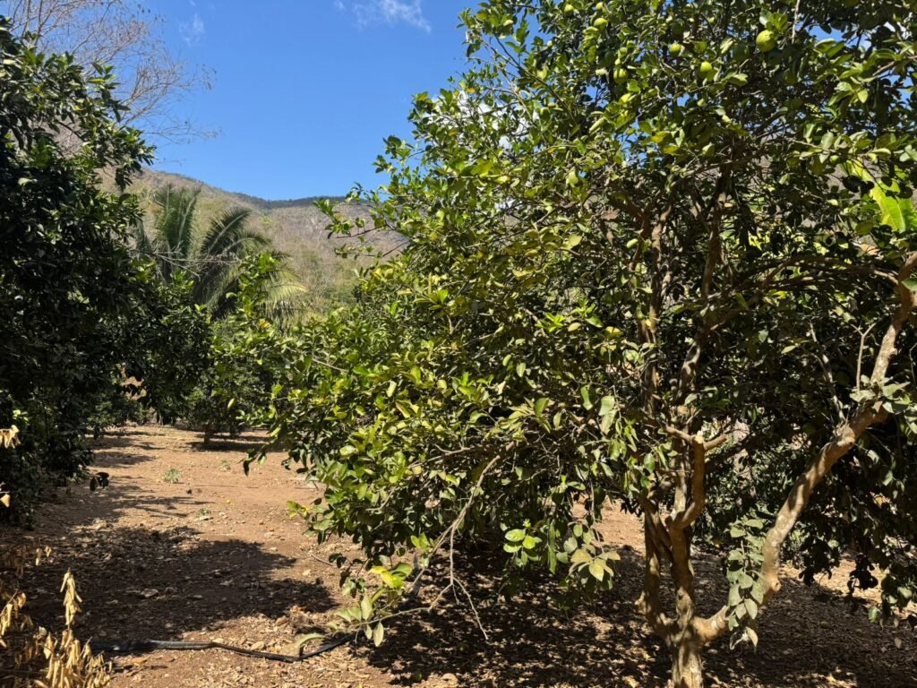 Maravilhosa Chácara – 11 Hectares – Casa de 320m² – Vista Deslumbrante – Nascente  Alto Paraíso – GO 