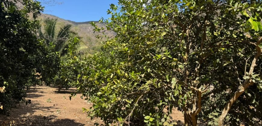 Maravilhosa Chácara – 11 Hectares – Casa de 320m² – Vista Deslumbrante – Nascente  Alto Paraíso – GO 