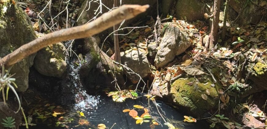 Maravilhosa Chácara – 11 Hectares – Casa de 320m² – Vista Deslumbrante – Nascente  Alto Paraíso – GO 