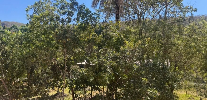 Casa – 4.000m2 – 800m2 da Cachoeira Anjos e Arcanjos – Moinho