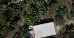 Maravilhosa Chácara – 11 Hectares – Casa de 320m² – Vista Deslumbrante – Nascente  Alto Paraíso – GO 