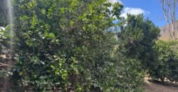 Maravilhosa Chácara – 11 Hectares – Casa de 320m² – Vista Deslumbrante – Nascente  Alto Paraíso – GO 