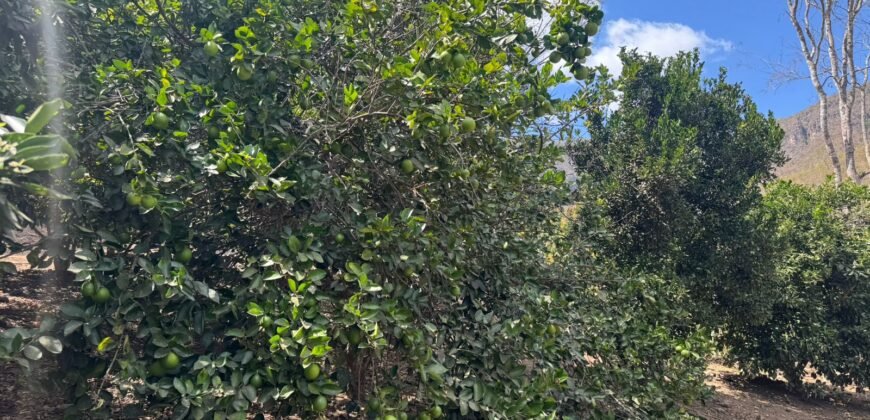 Maravilhosa Chácara – 11 Hectares – Casa de 320m² – Vista Deslumbrante – Nascente  Alto Paraíso – GO 