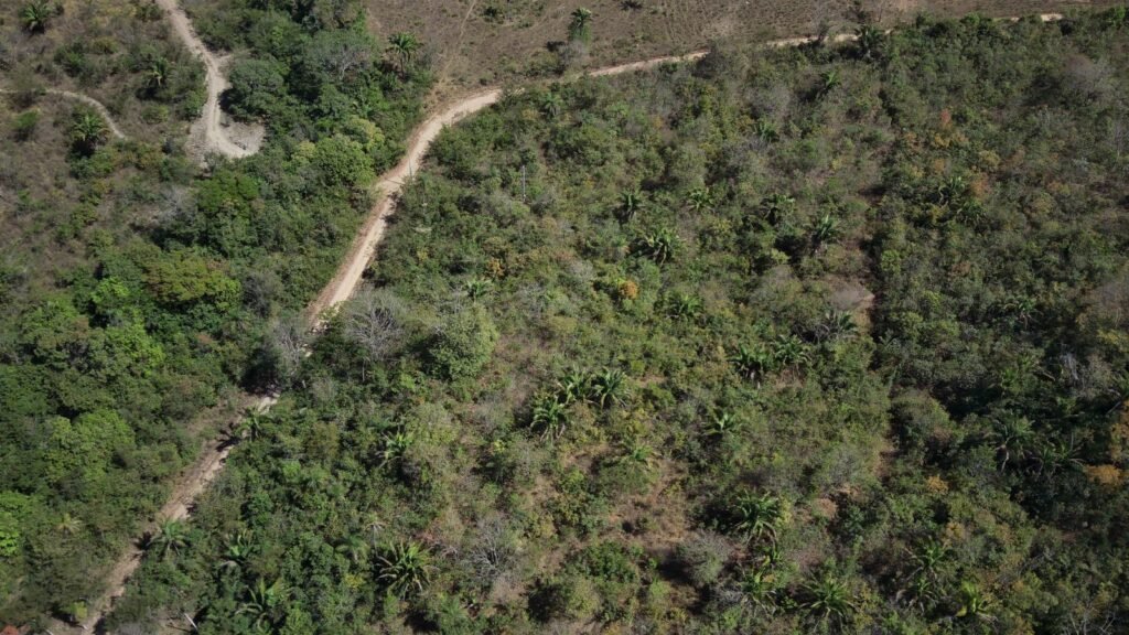 Maravilhosa Chácara – 11 Hectares – Casa de 320m² – Vista Deslumbrante – Nascente  Alto Paraíso – GO 