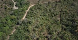 Maravilhosa Chácara – 11 Hectares – Casa de 320m² – Vista Deslumbrante – Nascente  Alto Paraíso – GO 