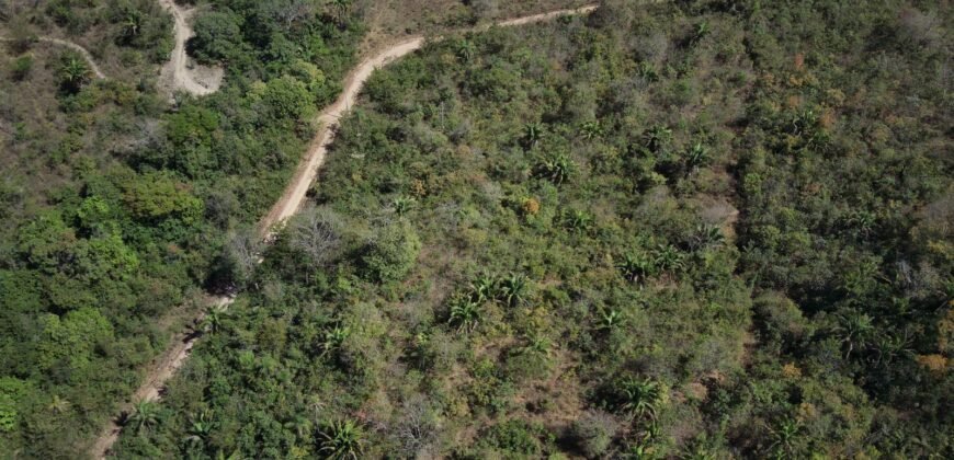 Maravilhosa Chácara – 11 Hectares – Casa de 320m² – Vista Deslumbrante – Nascente  Alto Paraíso – GO 