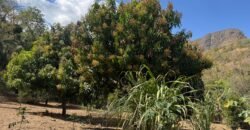 Maravilhosa Chácara – 11 Hectares – Casa de 320m² – Vista Deslumbrante – Nascente  Alto Paraíso – GO 