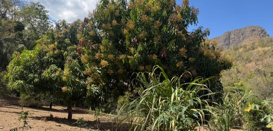 Maravilhosa Chácara – 11 Hectares – Casa de 320m² – Vista Deslumbrante – Nascente  Alto Paraíso – GO 