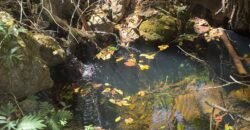 Maravilhosa Chácara – 11 Hectares – Casa de 320m² – Vista Deslumbrante – Nascente  Alto Paraíso – GO 