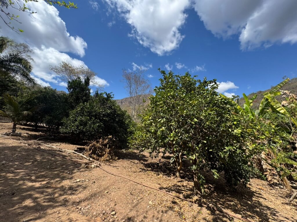 Maravilhosa Chácara – 11 Hectares – Casa de 320m² – Vista Deslumbrante – Nascente  Alto Paraíso – GO 