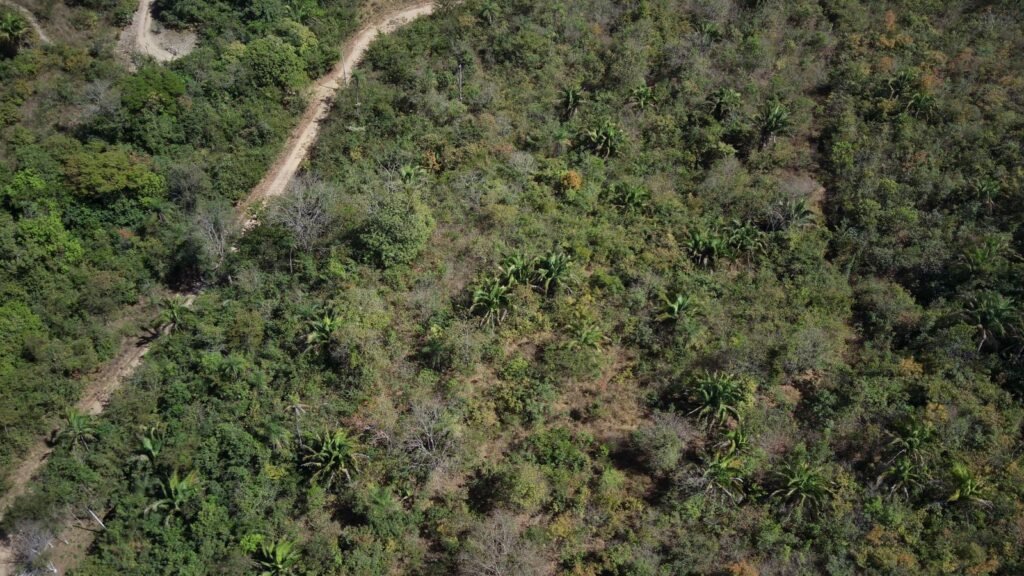 Maravilhosa Chácara – 11 Hectares – Casa de 320m² – Vista Deslumbrante – Nascente  Alto Paraíso – GO 