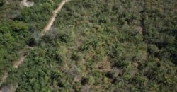 Maravilhosa Chácara – 11 Hectares – Casa de 320m² – Vista Deslumbrante – Nascente  Alto Paraíso – GO 