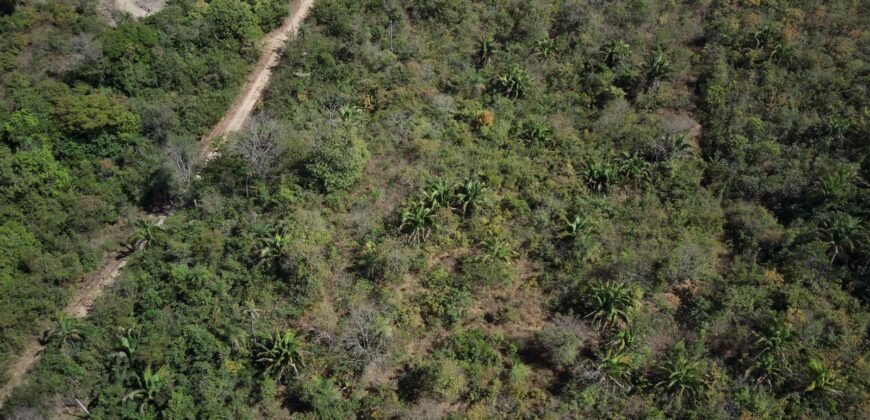 Maravilhosa Chácara – 11 Hectares – Casa de 320m² – Vista Deslumbrante – Nascente  Alto Paraíso – GO 