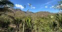 Maravilhosa Chácara – 11 Hectares – Casa de 320m² – Vista Deslumbrante – Nascente  Alto Paraíso – GO 