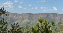 Lote 2000m2 – São Jorge – Regularizado Lote 2000m2 – São Jorge – Regularizado