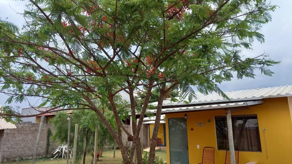 2 Chalés no Setor Planalto – Alto Paraíso de Goiás 