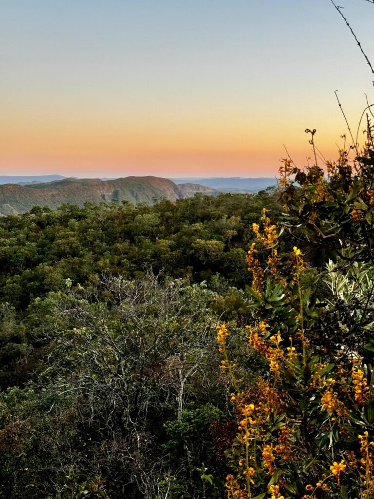 Chalé – Lote 2.500m – São Jorge – Ecovila –