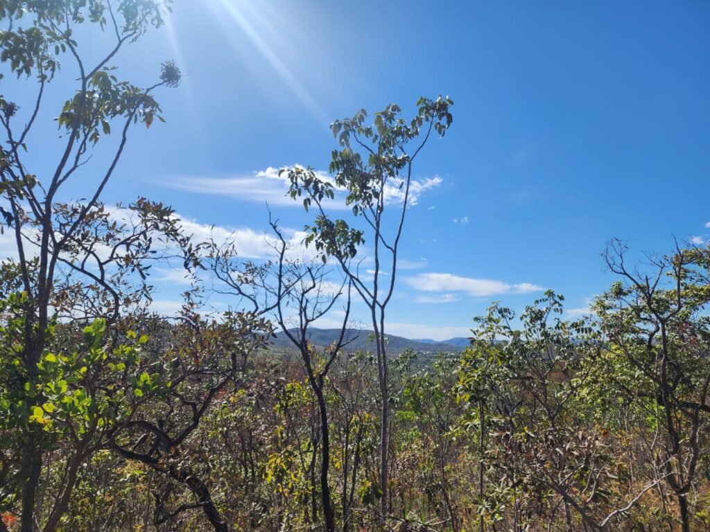 Lote 2000m2 – São Jorge – Regularizado