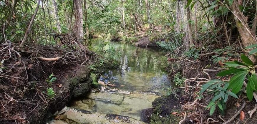 Chácara 4ha – Rio – pronta para Morar e Hospedagem  – Paraíso dos Pandanvas Chácara 4ha – Rio – pronta para Morar e Hospedagem  – Paraíso dos Pandanvas