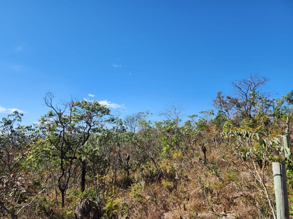 Lote 2000m2 – São Jorge – Regularizado