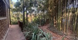 Casa com 2 Andares – Região Central – Alto Paraíso de Goiás Casa com 2 Andares – Região Central – Alto Paraíso de Goiás