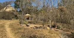 Aluga-se Chalé com 1 Quarto – Alto Paraíso de Goiás Aluga-se Chalé com 1 Quarto – Alto Paraíso de Goiás