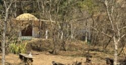 Aluga-se Chalé com 1 Quarto – Alto Paraíso de Goiás Aluga-se Chalé com 1 Quarto – Alto Paraíso de Goiás