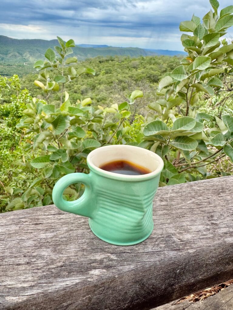 Chalé – Lote 2.500m – São Jorge – Ecovila –