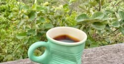 Chalé – Lote 2.500m – São Jorge – Ecovila – Chalé – Lote 2.500m – São Jorge – Ecovila –