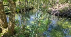 Chácara 4ha – Rio – pronta para Morar e Hospedagem  – Paraíso dos Pandanvas Chácara 4ha – Rio – pronta para Morar e Hospedagem  – Paraíso dos Pandanvas