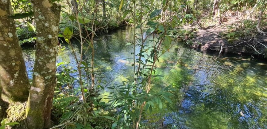 Chácara 4ha – Rio – pronta para Morar e Hospedagem  – Paraíso dos Pandanvas Chácara 4ha – Rio – pronta para Morar e Hospedagem  – Paraíso dos Pandanvas
