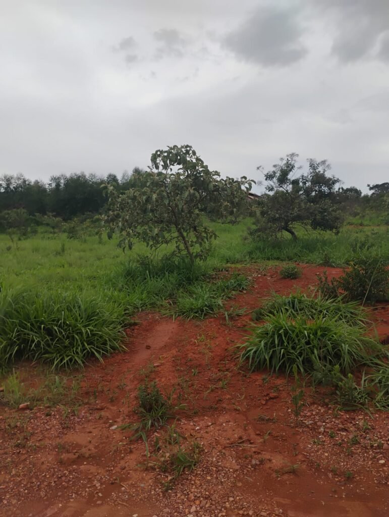 Lote 2.000m2 – Condomínio Ecovila Ashiyana – Loquinhas – Alto Paraíso de Goiás