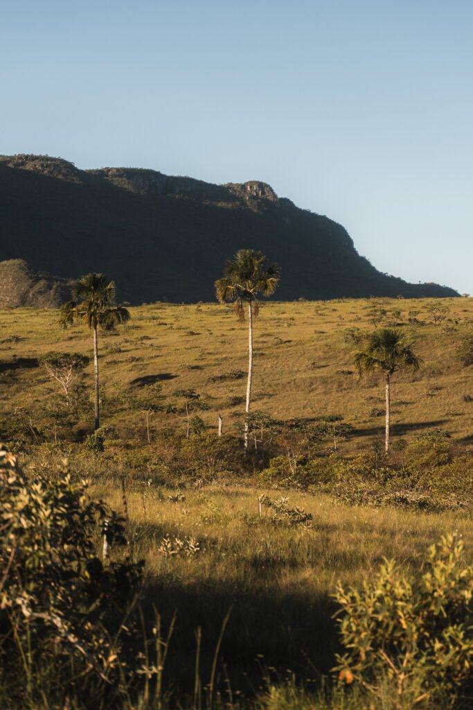 Chácara 4ha – Rio – pronta para Morar e Hospedagem  – Paraíso dos Pandanvas