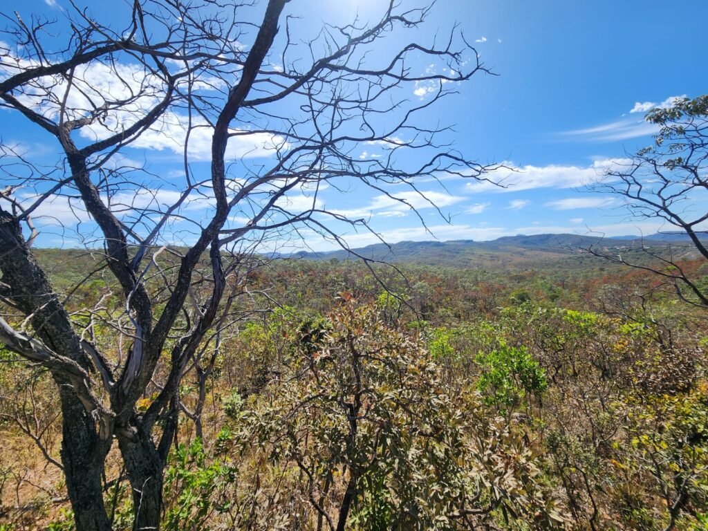 Lote 1.000 m2 – São Jorge – Regularizado