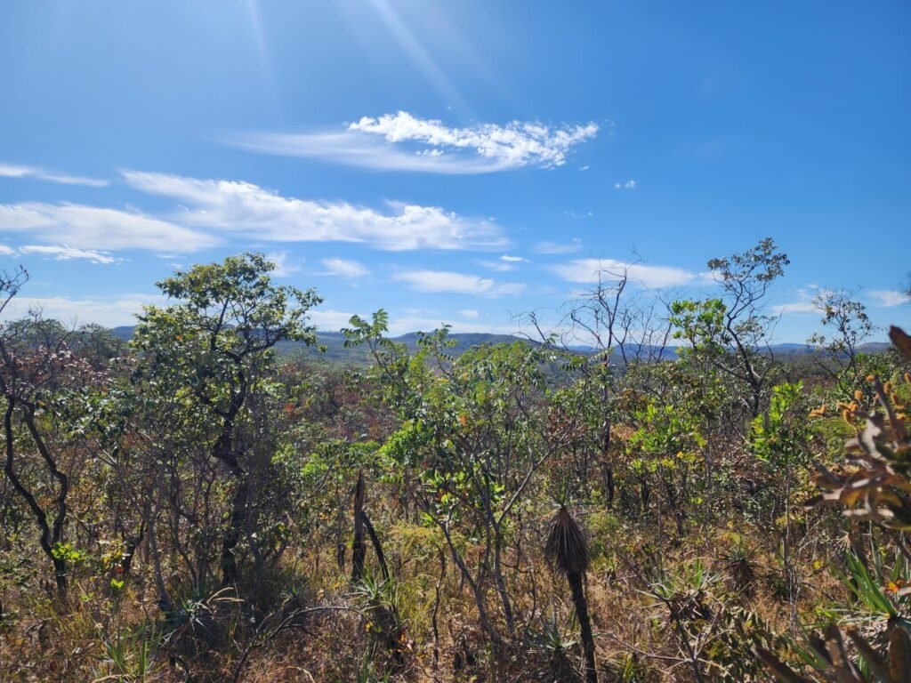 Lote 2000m2 – São Jorge – Regularizado