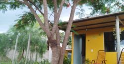 2 Chalés no Setor Planalto – Alto Paraíso de Goiás 