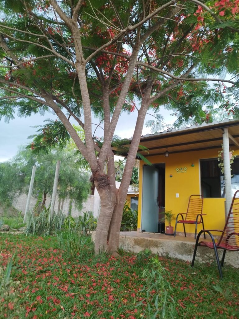 2 Chalés no Setor Planalto – Alto Paraíso de Goiás 