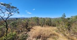 Lote 2000m2 – São Jorge – Regularizado Lote 2000m2 – São Jorge – Regularizado