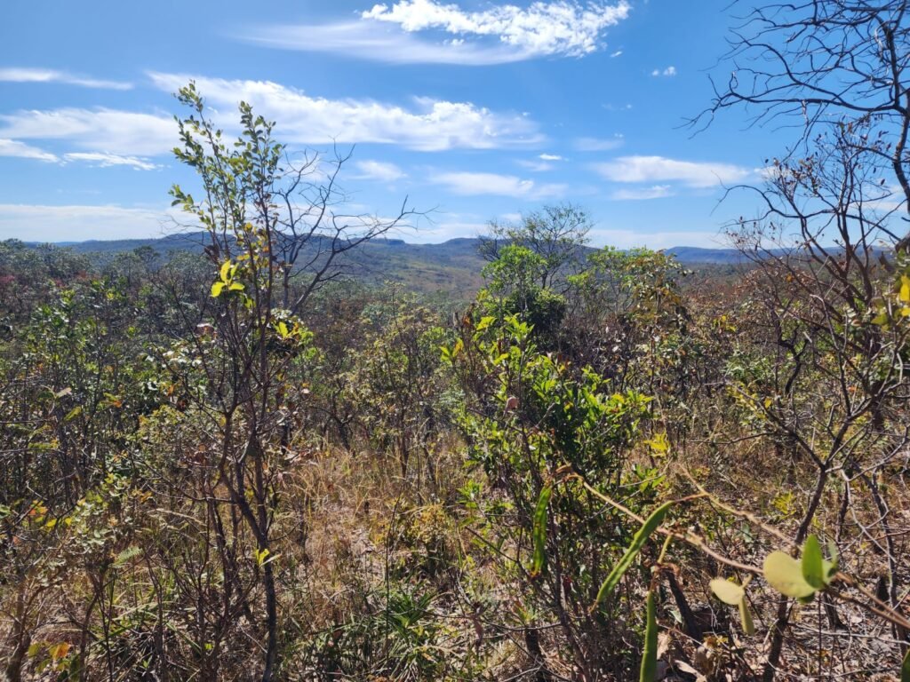 Lote 2000m2 – São Jorge – Regularizado