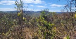 Lote 2000m2 – São Jorge – Regularizado Lote 2000m2 – São Jorge – Regularizado