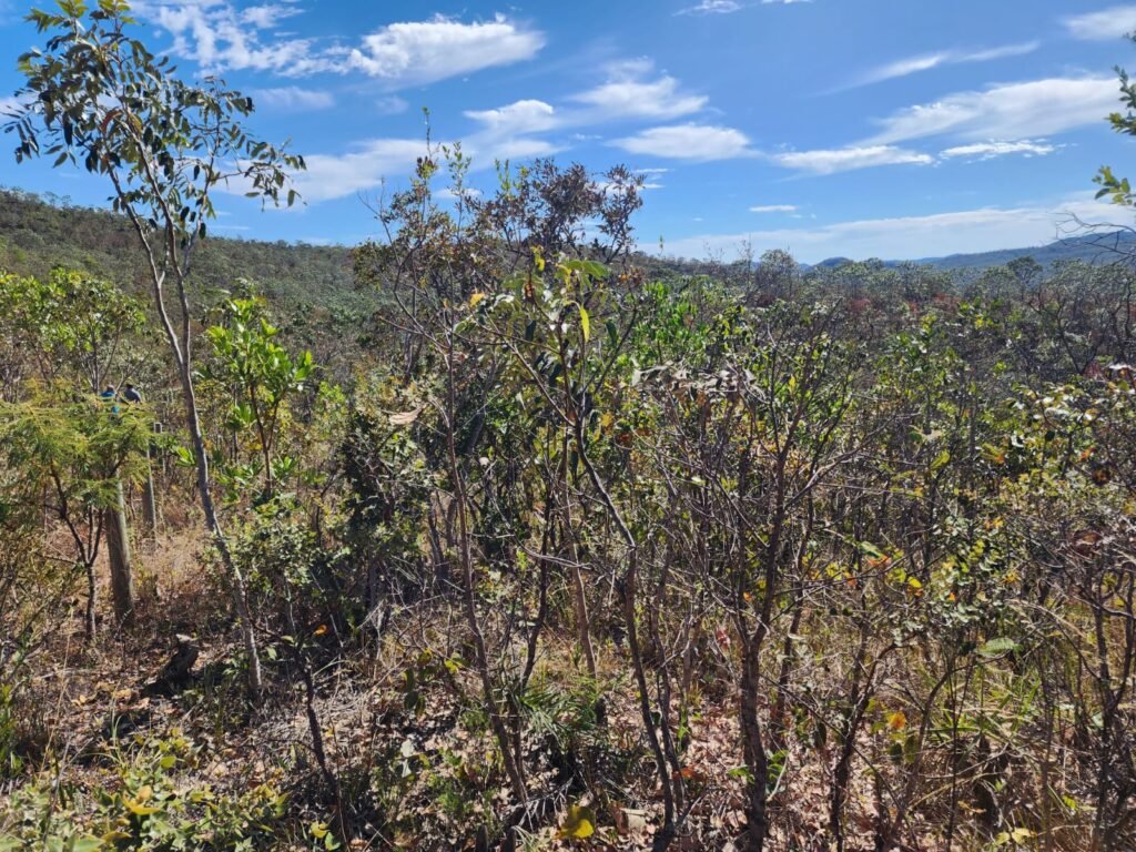 Lote 2000m2 – São Jorge – Regularizado