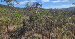 Lote 2000m2 – São Jorge – Regularizado Lote 2000m2 – São Jorge – Regularizado