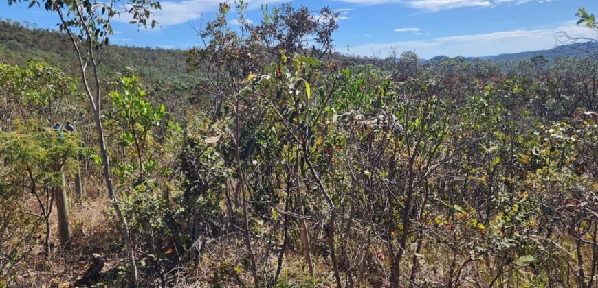 Lote 2000m2 – São Jorge – Regularizado