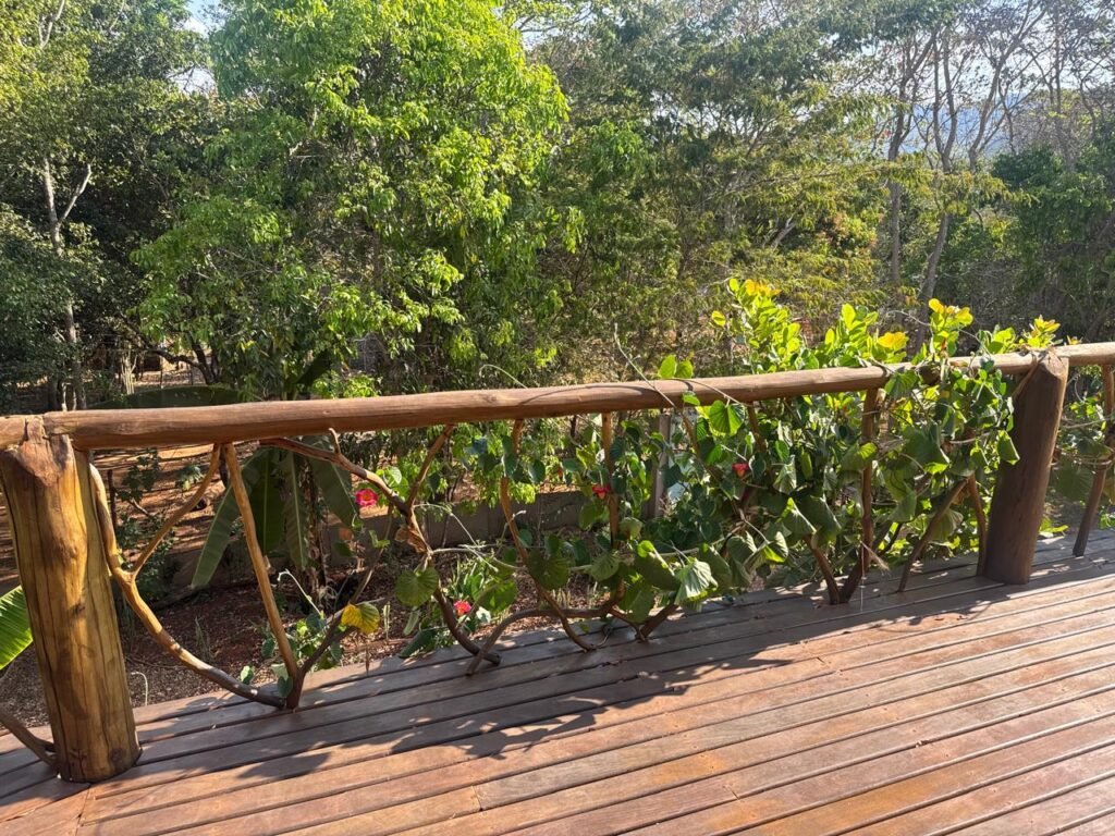 Linda Casa – Povoado do Moinho – Próximo Cachoeira Anjos e Arcanjos – Chapada dos Veadeiros
