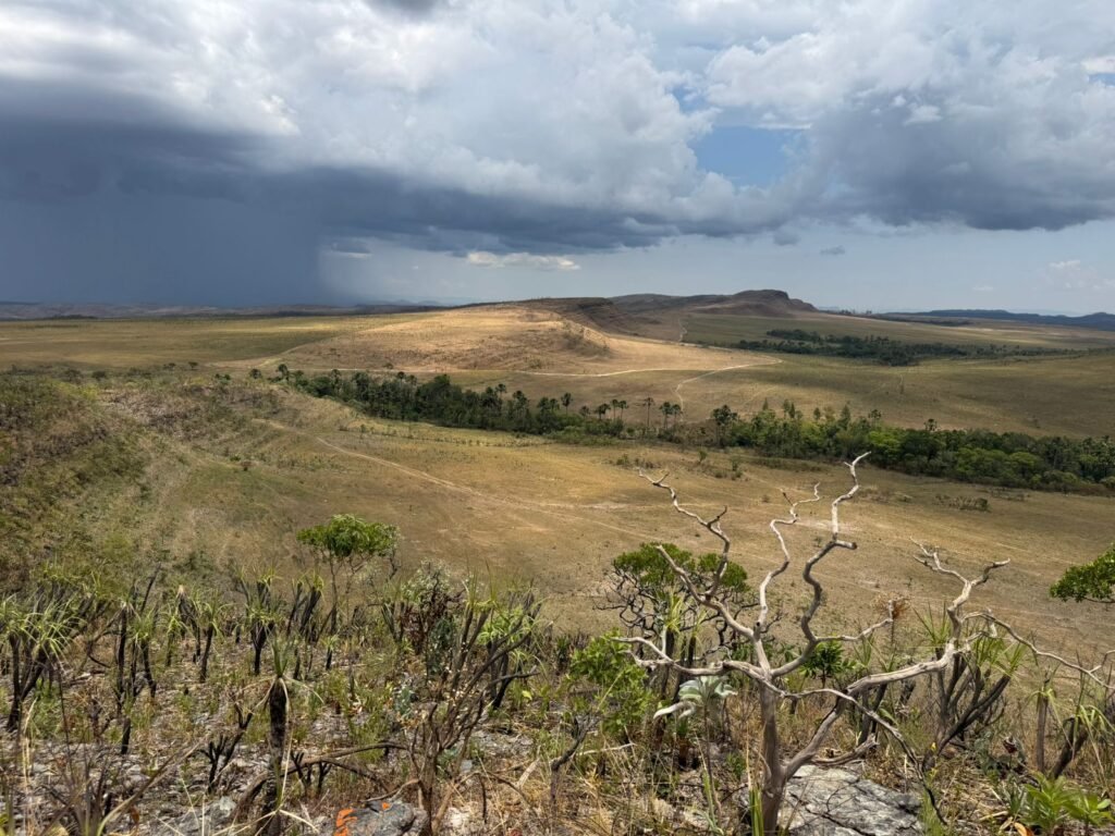 Chácara 5 Alqueires – Km 12 – Lindo Visual – Entre Alto Paraíso e São Jorge