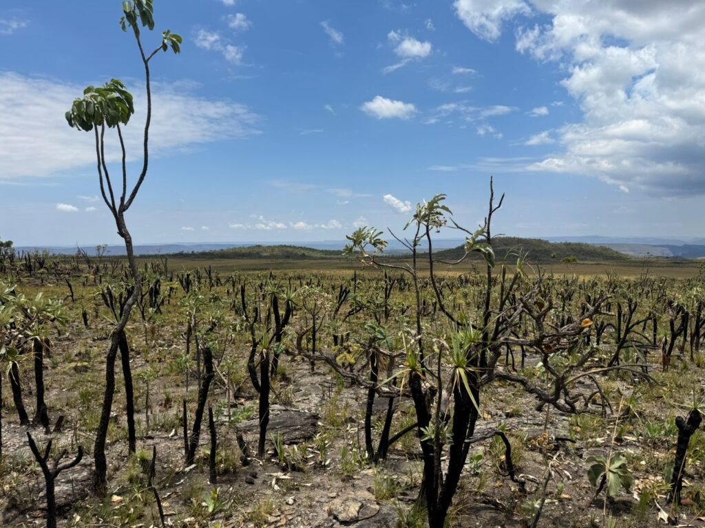Chácara 5 Alqueires – Km 12 – Lindo Visual – Entre Alto Paraíso e São Jorge