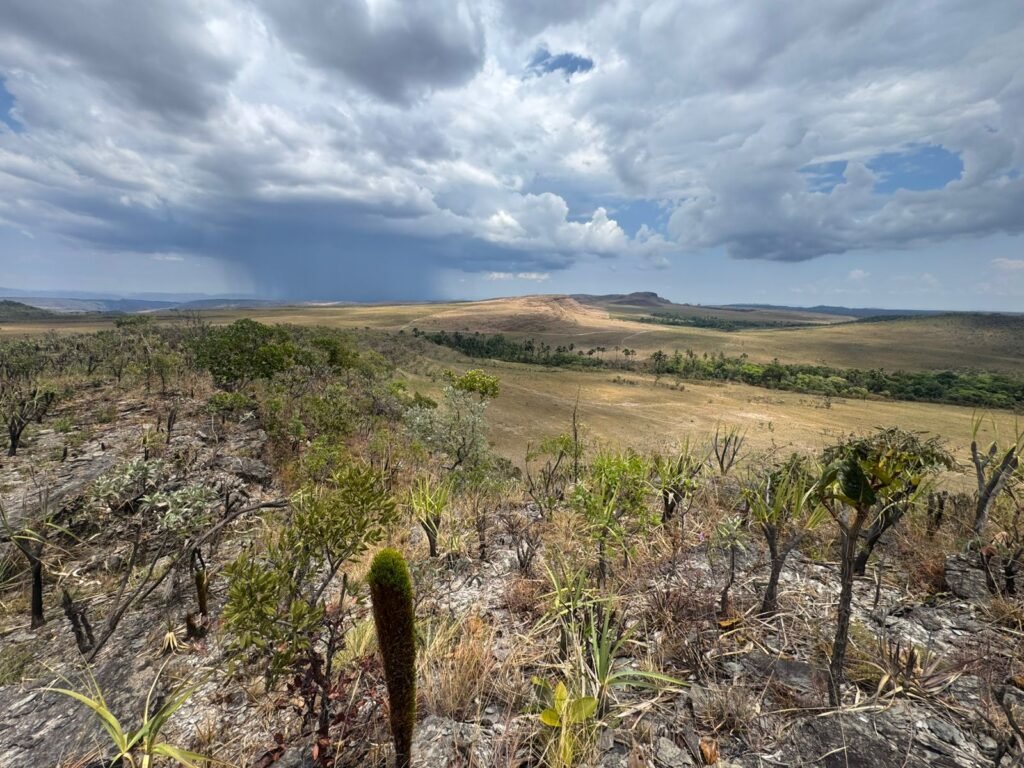 Chácara 5 Alqueires – Km 12 – Lindo Visual – Entre Alto Paraíso e São Jorge