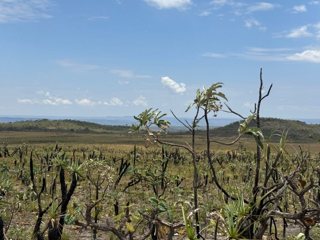 Chácara 5 Alqueires – Km 12 – Lindo Visual – Entre Alto Paraíso e São Jorge